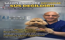  SAHİPLENDİĞİMİZ HAYVANLAR SÜS DEĞİLDİR!!
