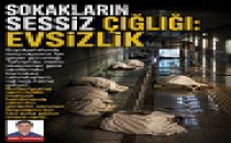  SOKAKLARIN SESSİZ ÇIĞLIĞI: EVSİZLİK